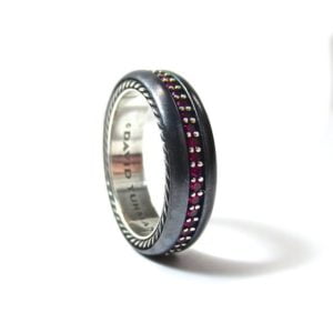 Titanium Ring