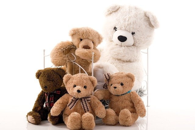 Teddy Bear for Girls